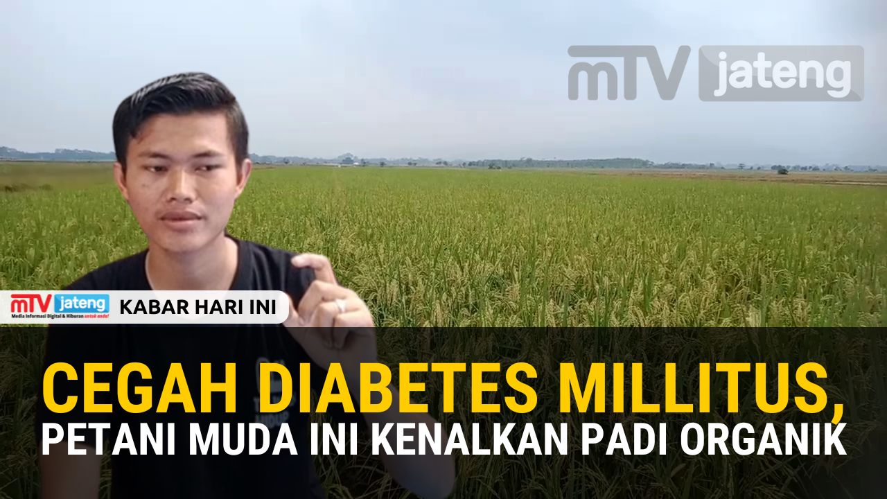 Cegah Diabetes Militus, Petani Muda Ini Kenalkan Padi Organik